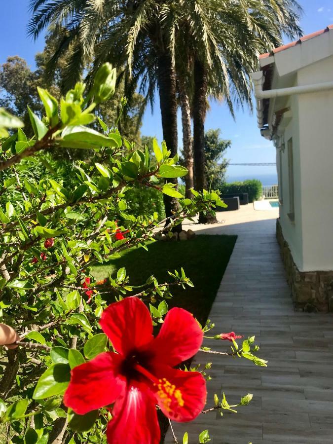 Villa Denia Costa Blanca Dış mekan fotoğraf