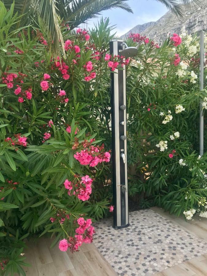 Villa Denia Costa Blanca Dış mekan fotoğraf