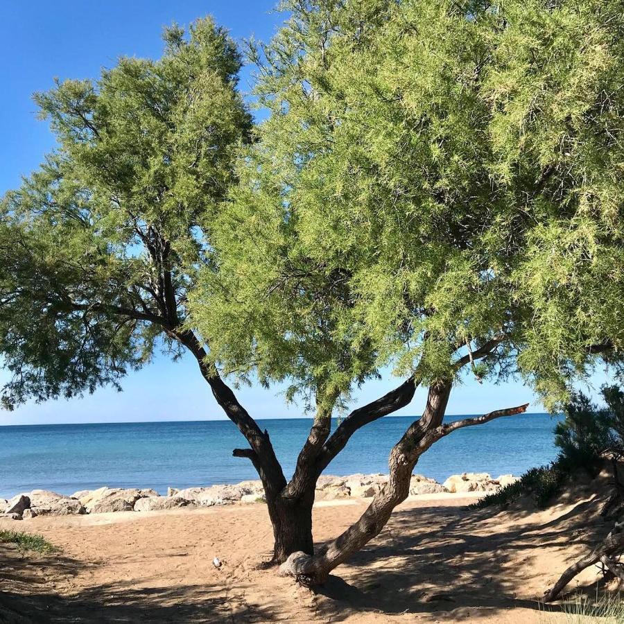 Villa Denia Costa Blanca Dış mekan fotoğraf